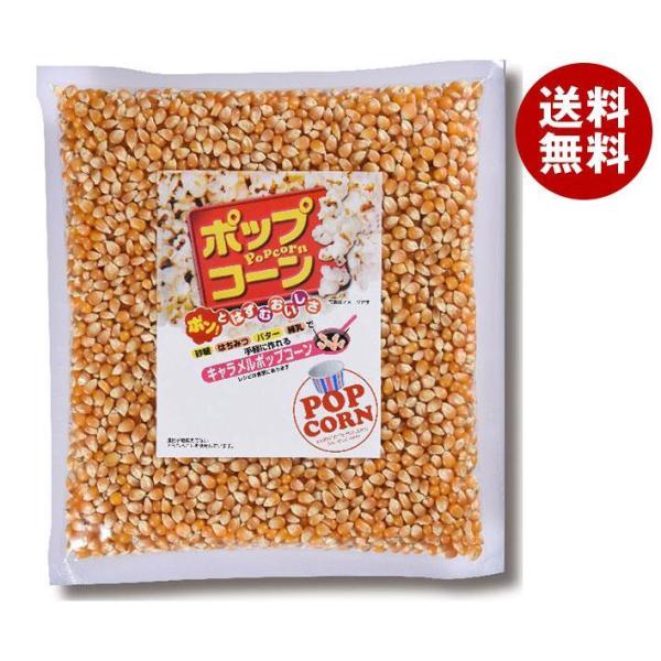 TRN |bvR[ 1000g×6ܓb  َq XibN |bvR[