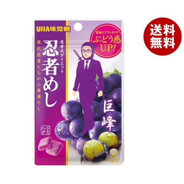お菓子食べ比べ10箱セット　チョコバット　忍者めし　ねるねる　ポイフル　ぷくぷく お菓子食べ比べ10箱セット チョコバット 忍者めし ねるねる ポイフル