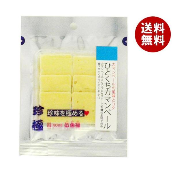 伍魚福 一杯の珍極 ひとくちカマンベール 22g×10袋入×(2ケース)｜ 送料無料