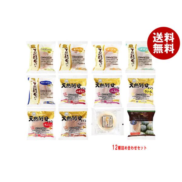 ※送料無料（北海道・沖縄・離島は送料無料対象外です。）D-PLUS かぼちゃ チョコ あんパン クリームパン ジャム