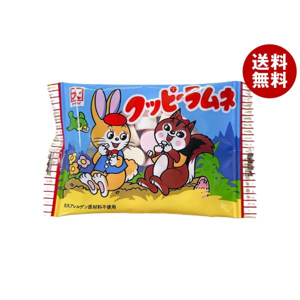 カクダイ製菓 クッピーラムネ 11g×60(30×2)袋入｜ 送料無料