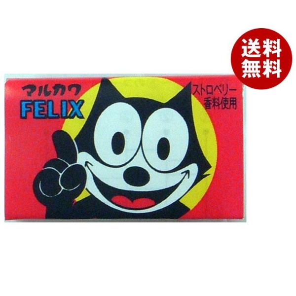 ※送料無料（北海道・沖縄・離島は送料無料対象外です。）