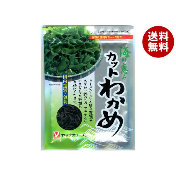 ※送料無料（北海道・沖縄・離島は送料無料対象外です。）