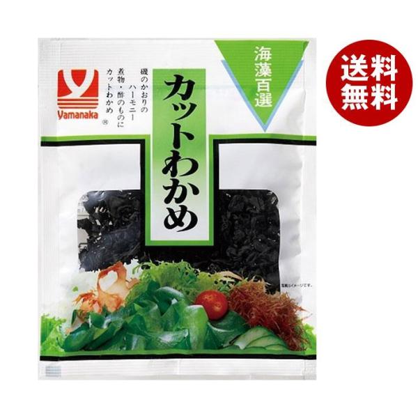 ※送料無料（北海道・沖縄・離島は送料無料対象外です。）