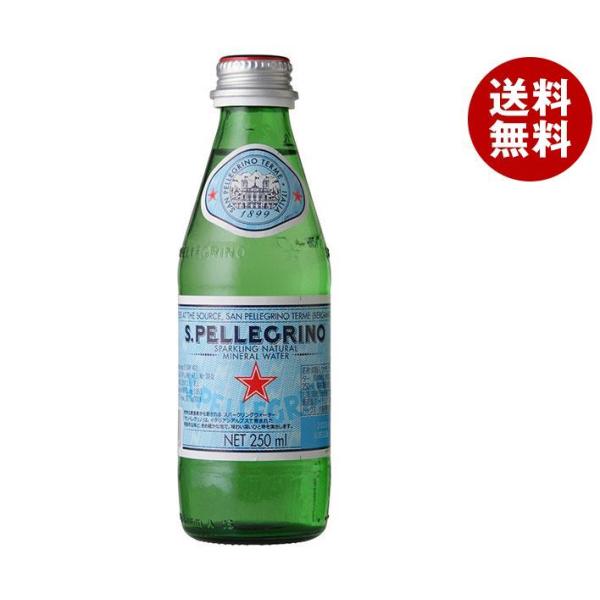 モトックス サンペレグリノ 250ml瓶×24本入×(2ケース)｜ 送料無料