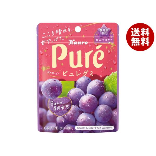 カンロ ピュレグミ グレープ✖️100個 Kanro（カンロ） ピュレグミ グレープ 56g×6袋入×(2ケース)｜ 送料無料