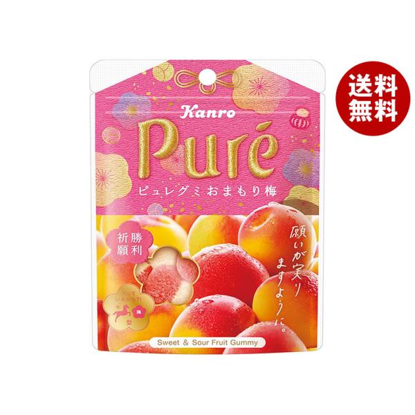 ※送料無料（北海道・沖縄・離島は送料無料対象外です。）お菓子 ビタミンC Pure グミ 袋 お守り 勝利祈願 梅 うめ ウメ