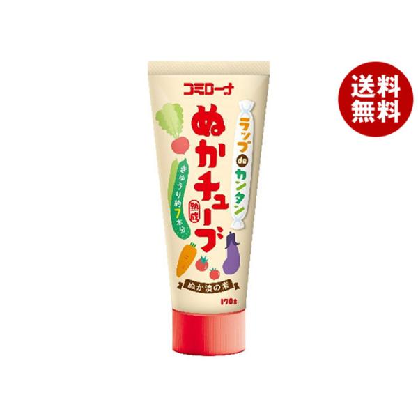 ※送料無料（北海道・沖縄・離島は送料無料対象外です。）一般食品 ぬか漬けの素 素 チューブ