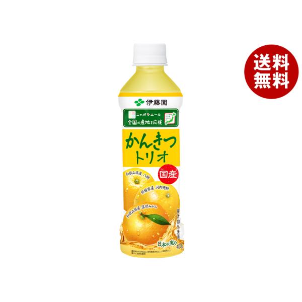 【賞味期限2026.10】伊藤園 ニッポンエール 国産かんきつトリオ 400gペットボトル×24本入｜ 送料無料