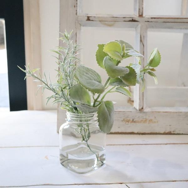 摘みたてハーブのよう ローズマリー ミント ハーブジャー マジカルウォーター インテリア ギフト 魔法の水 Wat066 花とブーケのアトリエ美鈴ヤフー店 通販 Yahoo ショッピング