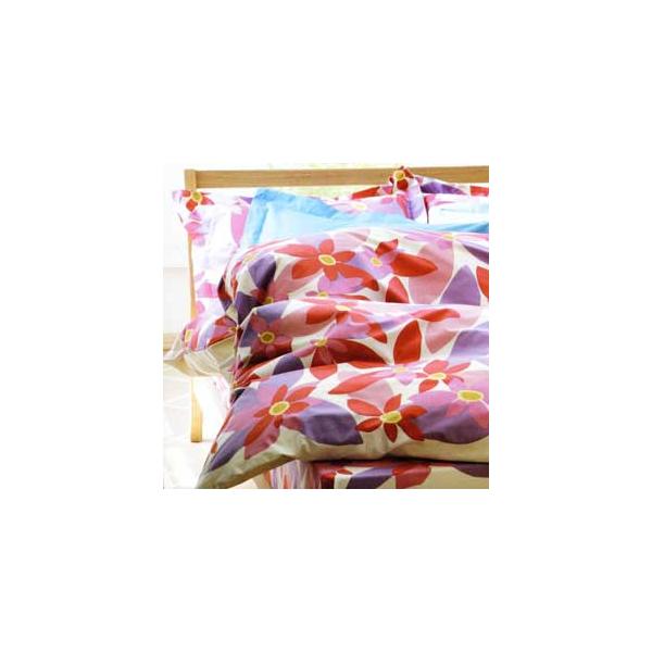 �V�r�� �|���z�c�J�o�[ Maranta �}�����^ �Z�~�_�u�������O