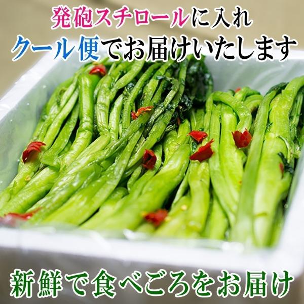 熊本 阿蘇 高菜 漬物 新漬たかな 新漬け 5kg 季節限定 高級 青高菜 人気 絶品 手作り 阿蘇おふくろ工房 Buyee Buyee 일본 통신 판매 상품 옥션의 대리 입찰 대리 구매 서비스