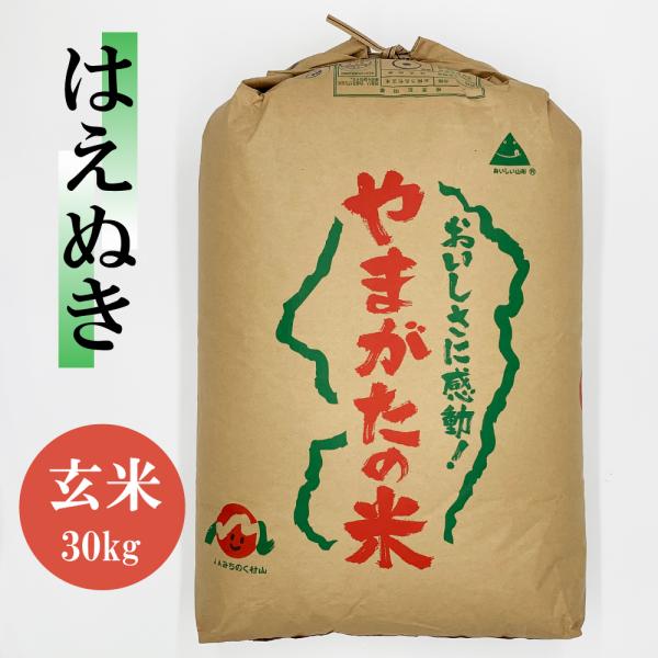 7年産はえぬき玄米 山形県産米 玄米30kg玄米30Ｋ はえぬき玄米30kg