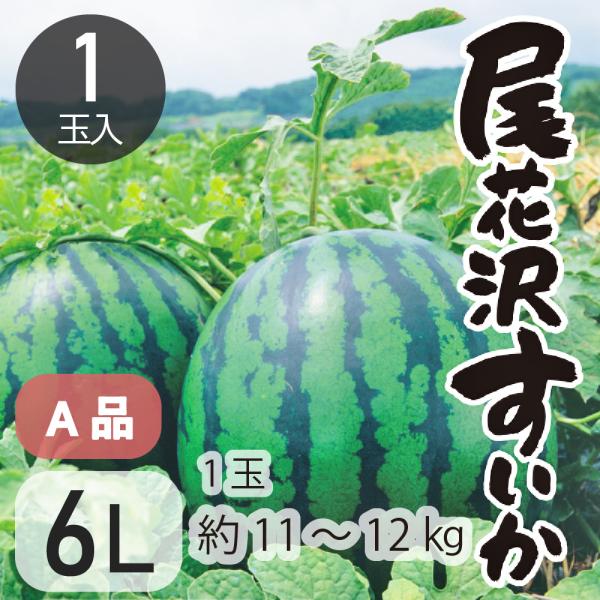 すいか 大玉 尾花沢すいか スイカ 西瓜 A6L 1玉 令和6年産 JA 果物 フルーツ 送料無料 先行予約 尾花沢すいか6L1玉