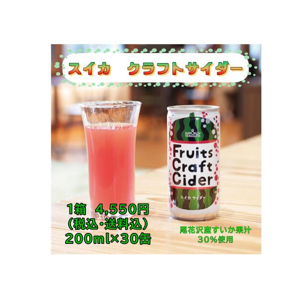 スイカサイダー すいかサイダー 尾花沢すいか クラフトサイダー 果汁入ジュース スイカクラフトサイダー200ｍｌ×30缶