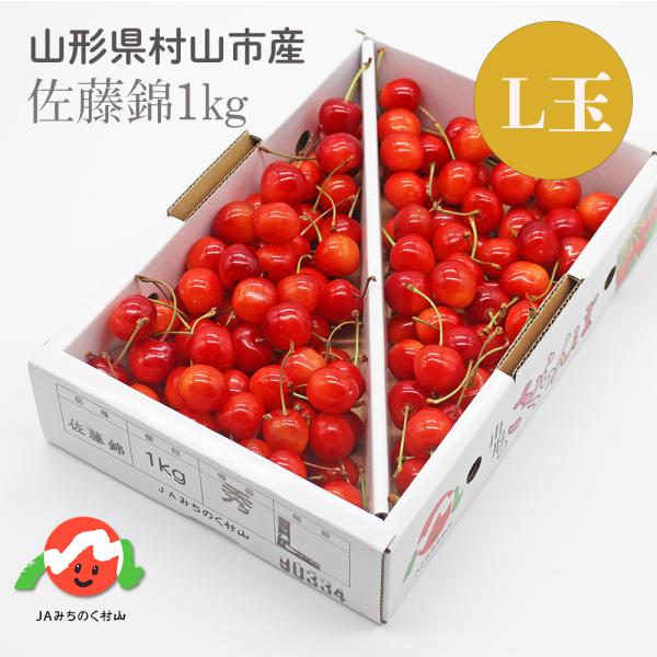 カウベル　佐藤錦２Ｌ玉一箱　6/24最短指定　大阪 加温ハウス栽培「佐藤錦 秀撰」M玉 100gダイヤパック×1パック