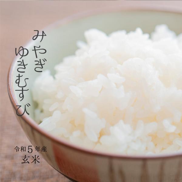 令和6年度産 ゆきむすび 30kg 宮城県産 ゆきむすび－宮城県大崎市鳴子産－ | タカラ米穀