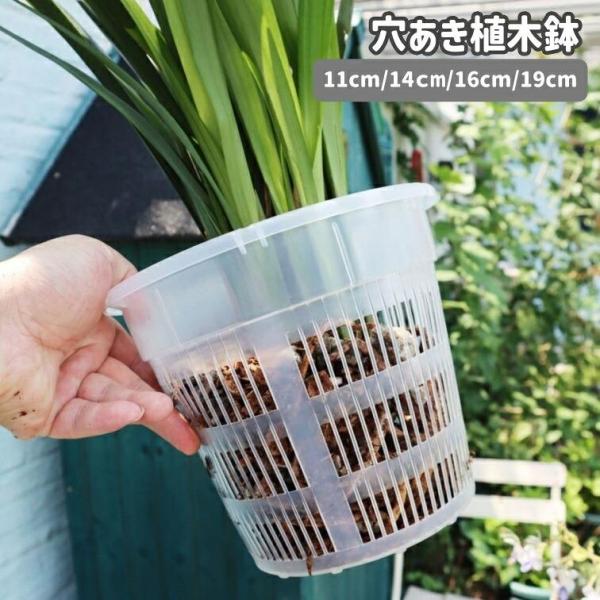 送料無料 植木鉢 オーキッドポット 園芸用品 ガーデニング 穴あき 胡蝶蘭 多肉植物 観葉植物 プランター フラワーポット 屋内 屋外 クリア 透明