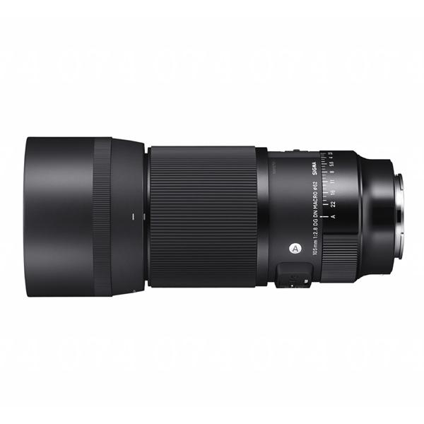 10Nԕۏؕt VO}  105mm F2.8 DG DN MACRO Art \j[ E}Egp  (0085126260651)