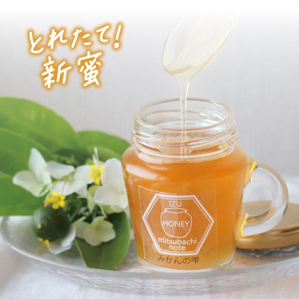 はちみつ 国産 蜂蜜 ハチミツ 純粋 非加熱 みかんの雫 瓶タイプ 120g 天然 生はちみつ 無添加 国産100% 蜂蜜 ハチミツ ギフト みつばちのーと