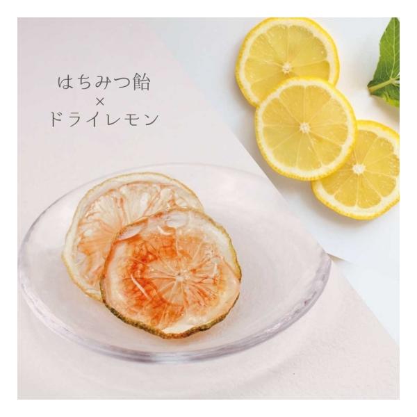 ドライレモン飴 手作りフルーツ飴  伊豆産レモン使用 国産ハチミツ使用 ハチミツ飴 着色料不使用 保存料不使用 香料不使用