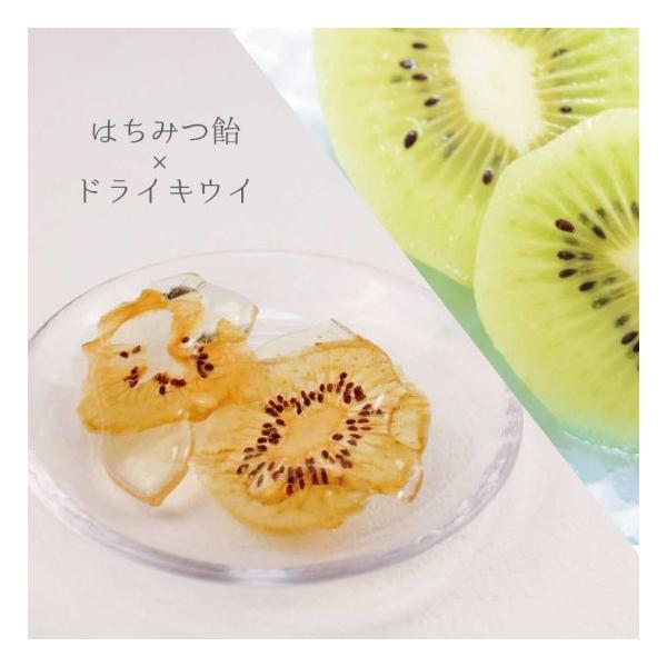 ドライキウイ飴 手作りフルーツ飴 伊豆稲取産キウイ使用 国産ハチミツ ネコポス対応可 :4004D:みつばちのーと!店 通販 ドライイチゴ飴 手作りフルーツ飴 伊豆産いちご使用 国産ハチミツ ネコポス対応可