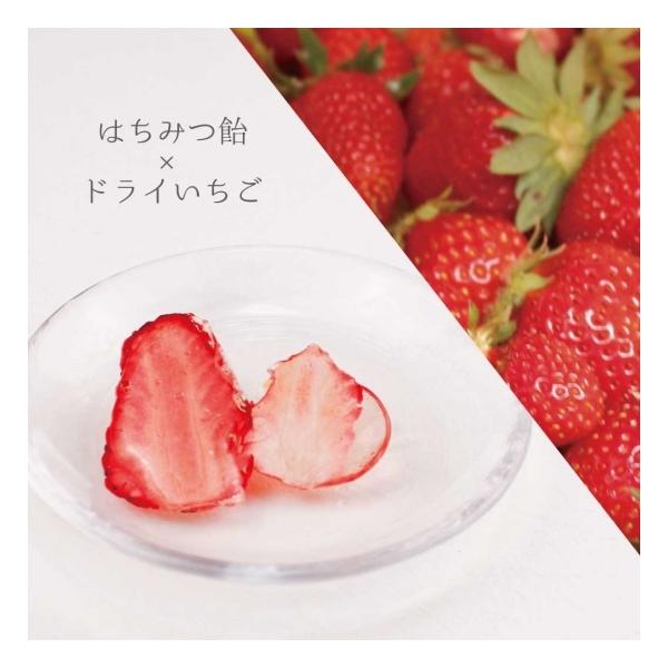 商品名：ドライいちごハチミツ飴(飴菓子)内容量：40ｇ賞味期限：製造から6か月保存方法：直射日光を避け、冷暗所で保管原材料：グラニュー糖、水飴、いちご、国産はちみつ販売者：みつばちのーと 田中章雄　　　　静岡県伊東市岡1334-1ご注意：＊...