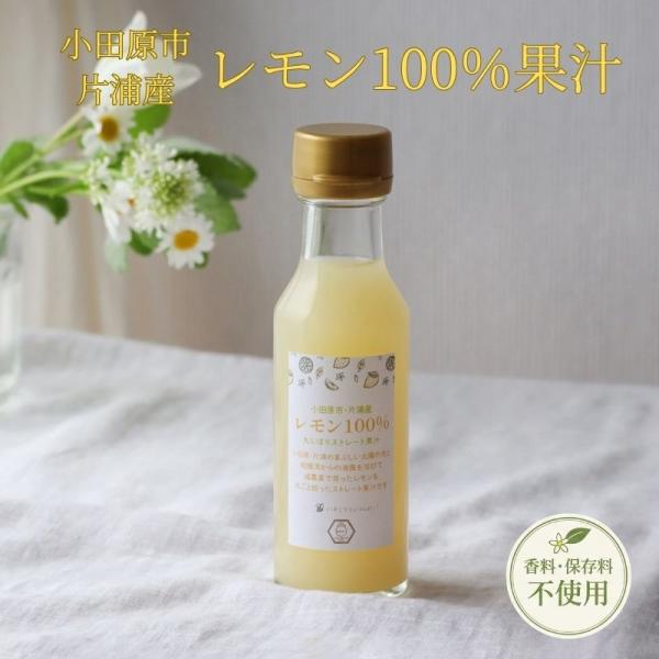 みつばちのーと 小田原市・片浦産 レモン100%果汁 添加物・保存料不使用 120ml 丸ごとレモン 減農薬栽培レモン