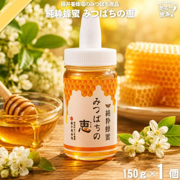 純粋蜂蜜 みつばちの恵 ポリ容器 （150g） 藤井養蜂場 「5250円以上で送料無料」