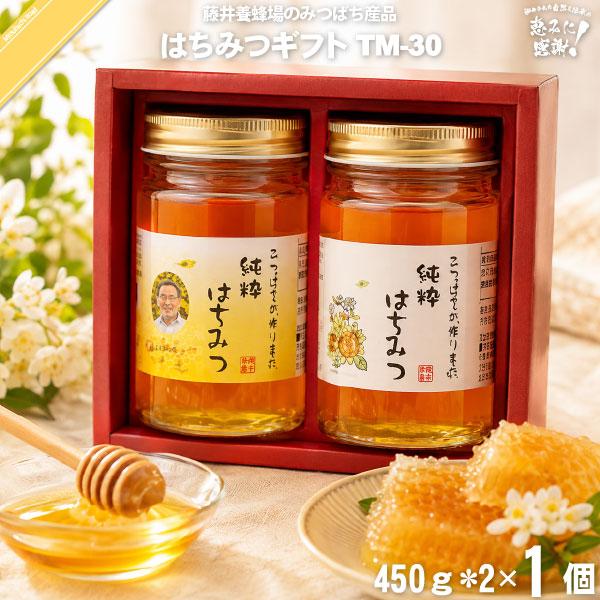 はちみつ詰め合わせ TM-30 （450g×2） 藤井養蜂場