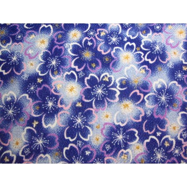 ߂񕿕 No.21 TCY  22cm×33cm ގ [ 100%