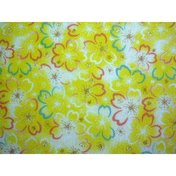 ߂񕿕 No.20 TCY  22cm×33cm ގ [ 100%