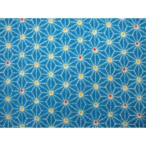 ߂񕿕 No.54 TCY  22cm×33cm ގ [ 100%