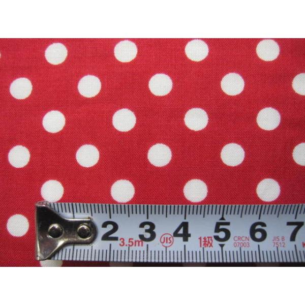 ʃXPA[n 110cm 100 ԒnŔ̐ No.239 ؂蔄50cmP