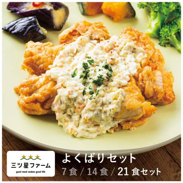 冷凍弁当 お弁当 おかず よくばり 21食セット 冷凍食品 三ツ星