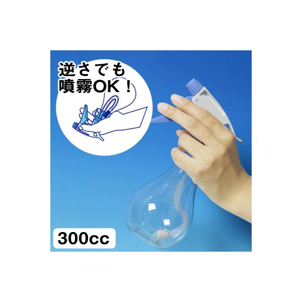 Xv[ e Xv[{g   t@CXv[ 300cc