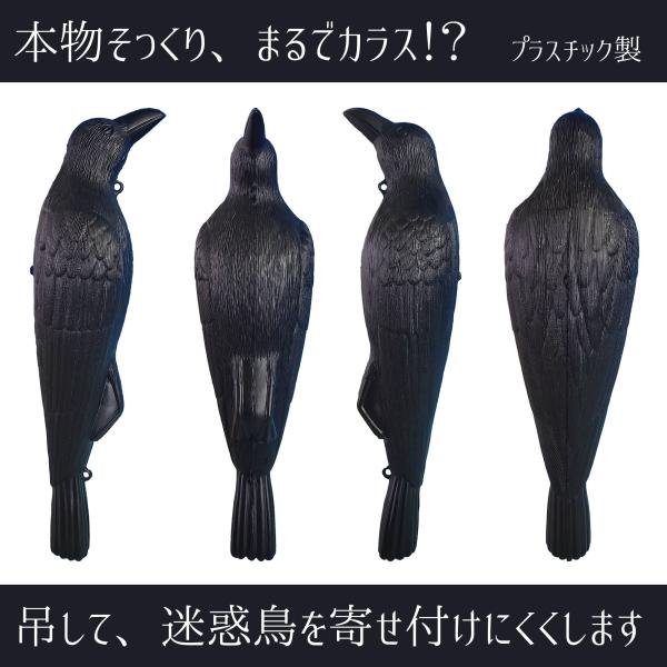 害鳥対策　カラスよけ　鳥よけ　コワガラス