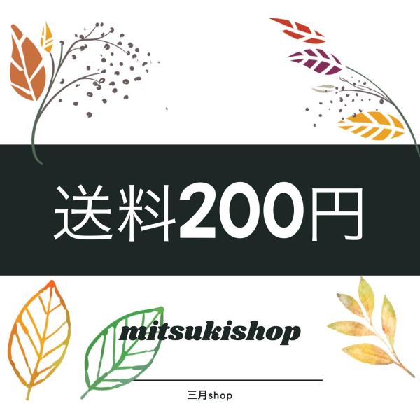 調整額 送料 200円
