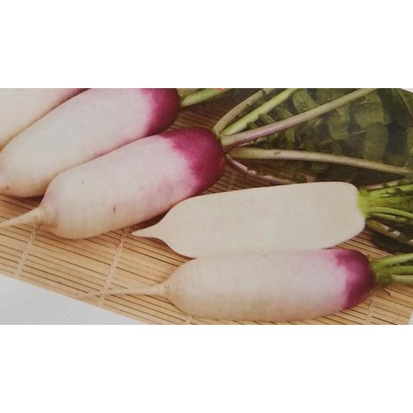 ミニ 大根 種 種の人気商品 通販 価格比較 価格 Com