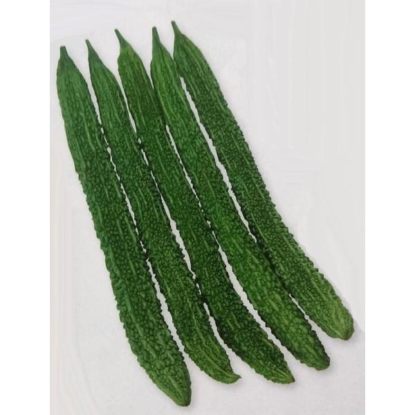 種 ゴーヤ 栽培の人気商品 通販 価格比較 価格 Com