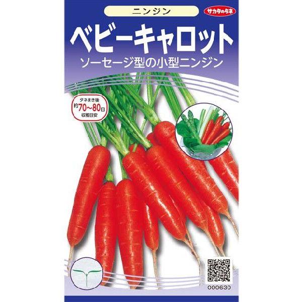 ミニ ニンジン 種の人気商品・通販・価格比較 - 価格.com ミニ ニンジン 種の人気商品・通販・価格比較 - 価格.com