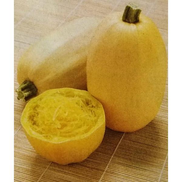 カボチャ種 金糸瓜 16粒 栽培用 種子 かぼちゃ 南瓜 そうめんかぼちゃ Ta Pu 002 光延農園 通販 Yahoo ショッピング
