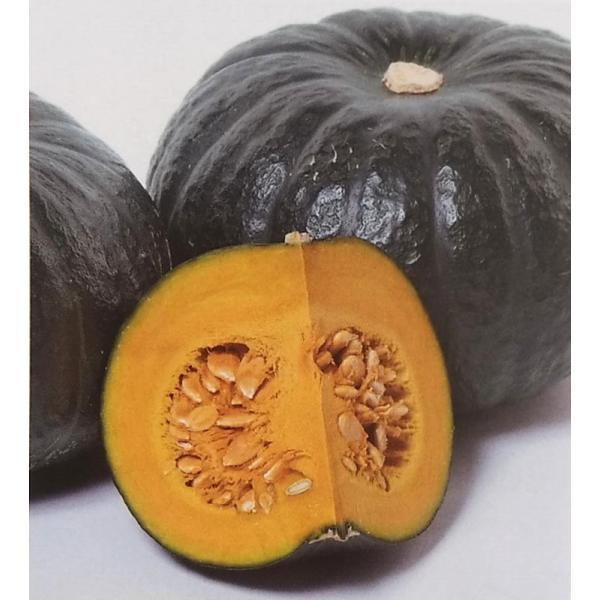 黒 かぼちゃ 種の人気商品 通販 価格比較 価格 Com