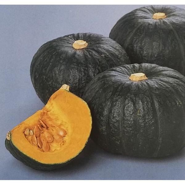 種 かぼちゃの人気商品・通販・価格比較 - 価格.com