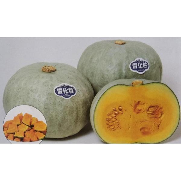 かぼちゃ Diy 工具の人気商品 通販 価格比較 価格 Com