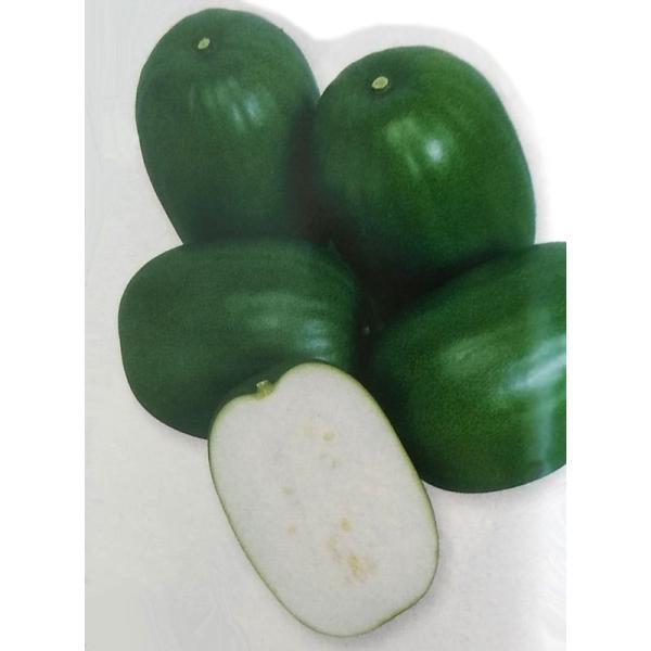 冬瓜 種の人気商品 通販 価格比較 価格 Com