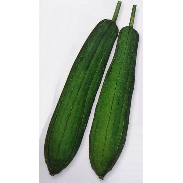 種 ヘチマの人気商品 通販 価格比較 価格 Com