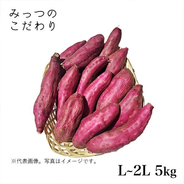 国産 さつまいも L〜2L 5kg ＊ランク A【 】B【 】C【〇