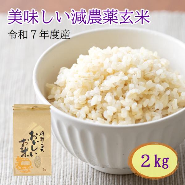 米 即納 国産 令和7年度産 2025年度産 減農薬栽培米 コシヒカリ 玄米