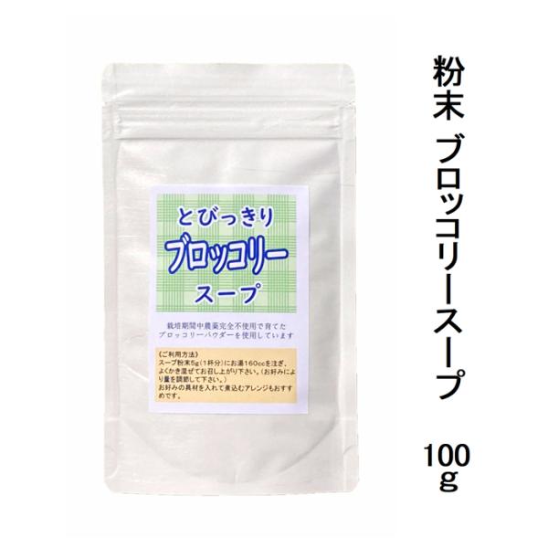 粉末スープ とびっきりブロッコリースープ 100g 国産材料使用 ぶろっこりー パウダー 粉 もう一品 メール便配送